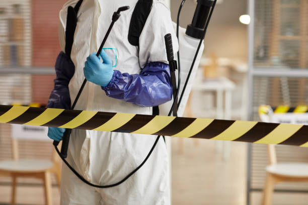 Professional Biohazard Cleanup technician working in Alamo, TX